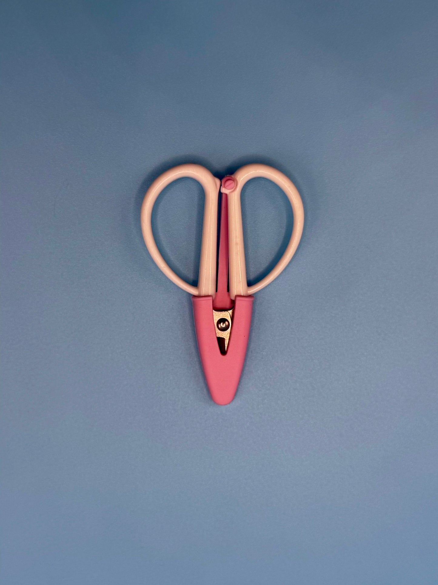 Mini Super Snip Scissors - Two-Tone Needlepoint Scissors
