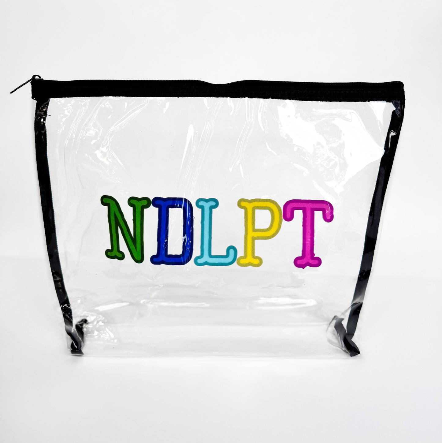 Colorful NDLPT Clear Project Bag | Small 9" x 12" Needlepoint WIP Bag